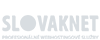 logo slovaknet