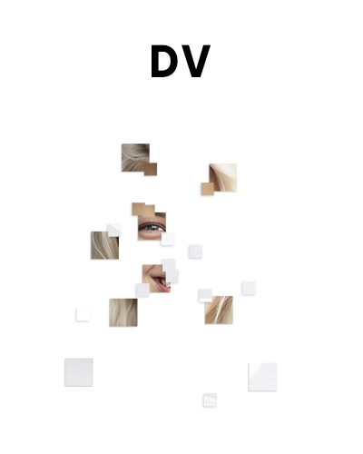 Doménové ověření (DV)