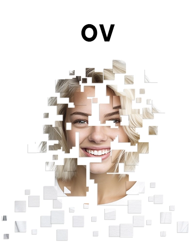 Ověření organizace (OV)